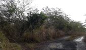 Excursión Senderismo Le François - Stade du François-pointe Degras en boucle - Photo 15