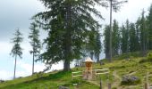 Tour Zu Fuß Ramsau bei Berchtesgaden - Wikiloc - Watzmanhaus - Photo 3