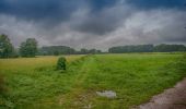 Tour Zu Fuß Hamminkeln - Ringenberg Rundweg A4 - Photo 1