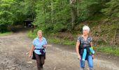 Tour Wandern Nassogne - Grune -Nassogne - Photo 4