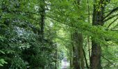 Trail Walking Zoutleeuw - S-GR Hageland : Terhagen - Diest - Photo 13
