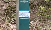 Trail Walking Léoncel - Double arche de Rucla - Photo 4
