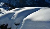 Tour Schneeschuhwandern Orcières - Orcières - Forest et Rocher des Estaris - Photo 4