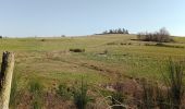 Trail Walking Chambles - Gorges de la Loire  du 22 -03-2022  jour - 2 - Photo 1