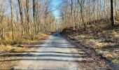 Tocht Stappen Compiègne - en forêt de Compiègne_47_autour des Beaux Monts - Photo 16