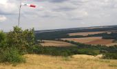 Excursión Bici de montaña Viéville - De Bologne à Saucourt-sur-Rognon - Photo 10