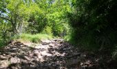 Trail On foot Vergato - IT-039 - Photo 1