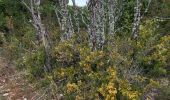 Excursión Senderismo Sault - ballade du vallat du loup - Photo 10