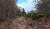 Percorso Marcia Véranne - sentier des crets du Mont Pilat  - Photo 2