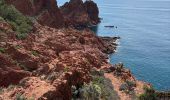 Trail Walking Saint-Raphaël - Le Dramont - Plage du débarquement  - Photo 1