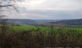 Tocht Stappen Bièvres - Bièvres France - Photo 3