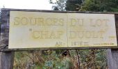 Tour Wandern Mont Lozère et Goulet - arsel chasserades au bleymard  - Photo 4