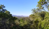 Trail Walking Saint-Raphaël -  saint raphael /les ferrieres / belvédère du Dramont - Photo 5