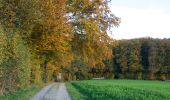 Percorso A piedi Oberembrach - Ober Mettmenstetten - Embrach Oberdorf Bus - Photo 6