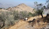 Excursión Senderismo Vitacura - Cerro Carbón - Photo 18