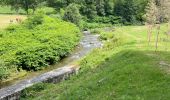 Tour Wandern Armeno - 20.06.2023 - Armeno - L'arrière pays du Lac d'Orta - 1 - Photo 17