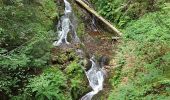 Excursión Senderismo Plancher-les-Mines - Cascades de la Goutte des Saules - Belvédère - Grotte St Antoine - Photo 10