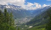 Trail Walking Chamonix-Mont-Blanc - La Jonction depuis le parking de Mont (Chamonix) - Photo 7