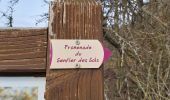 Tour Wandern Osenbach - Circuit découverte Osenbah - Photo 11