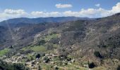 Tour Wandern Vallées-d'Antraigues-Asperjoc - Antraigues - Gamondes 17 km - Photo 14