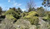 Randonnée Marche Signes - Tour du baou de Serein - Photo 8