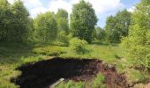 Tour Wandern Weismes - la balade des gens heureux - Photo 2