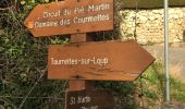 Trail Walking Tourrettes-sur-Loup - Pie Martin - Photo 6