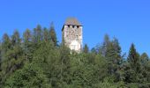 Randonnée A pied St. Pankraz - San Pancrazio - Naturlehrpfad - Photo 3