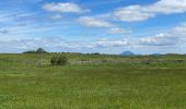 Tocht Stappen Murat-le-Quaire - Borne des roches-Guéry - Photo 9