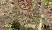 Randonnée Marche Villard-de-Lans - La moliere - col d'herbouilly - pot du loup - crête - Photo 20