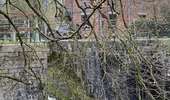 Trail Walking Braine-le-Comte - Château de Bornival par le vieux canal - Photo 7
