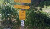 Randonnée Vélo électrique Seyne - col du Fanget Chabanon 010825 - Photo 17