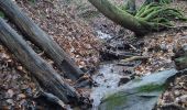 Percorso A piedi Sommerkahl - Kulturweg Blankenbach und Eichenberg - Photo 10