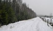 Trail Walking Theux - Bronromme sous la neige  - Photo 11
