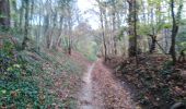 Trail Walking Voeren - balade fouronnaise saint pierre - Photo 13