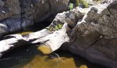 Trail Walking Collobrières - Cuves de Boulin - Photo 2