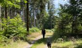 Trail Walking Chiny - Chiny version courte - Photo 8
