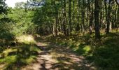 Trail Walking Brassac - Brassac - Sur les hauteurs de l'Agout - Col de la cime du Ser - Photo 8