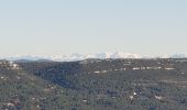 Trail Mountain bike Allauch - Pichauris les antennes par Regage - Photo 1