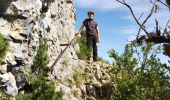 Tour Wandern Saint-Rémy-de-Provence - Mt Gaussier - Photo 5