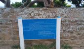 Tour Wandern Arzon - Port Navallo - Photo 19