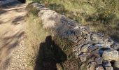 Randonnée Marche Le Thoronet - Le Thoronet- Canal de Ste Croix - Argens - Photo 2