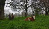 Tour Wandern Fléron - Fléron  - Photo 2