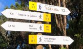 Tour Wandern Santa Cruz de Tenerife - 20230125 Tachero-Taganana-Casa Forestal  - Photo 5