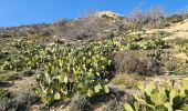 Trail Walking Ramatuelle - l'Escalet Cap Taillat - Photo 18