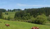 Tour Wandern Bütgenbach - A la découverte du Lac de Butgenbach - Photo 9