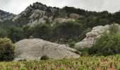 Excursión Senderismo Évenos - Les grès de Sainte Anne d'Evenos - Photo 1