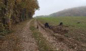 Tour Wandern Charavines - Lac de Paladru - Photo 1