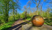 Percorso Marcia Thuin - Balade dans le Bois du Grand Bon Dieu-Thuin - Photo 20