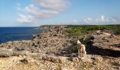 Trail Walking Anse-Bertrand - Trou du Souffleur - Trou de Madame Coco - Photo 3